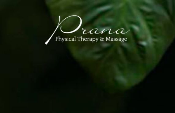 Physical Therapy & Massage